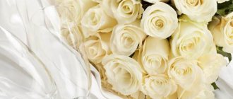 why do you give white roses?
