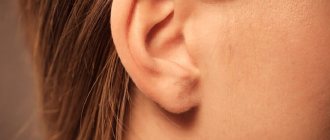 Почему по сонникам ухо считается важнее, чем глаза