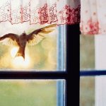 Птица в окне