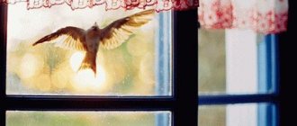 Птица в окне