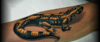 саламандра на руке