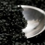dream book black caviar